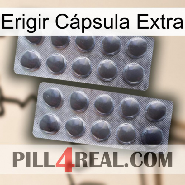 Erigir Cápsula Extra 31.jpg